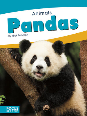 cover image of Pandas